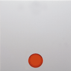 Berker 16211909 - wipplaat controle + 5 led's polar wit mat s1/b*