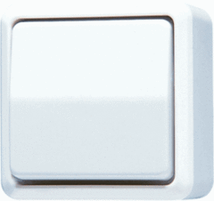 Jung 606AWW - 606 AWW - schakelaar universeel wissel alpine opbouw