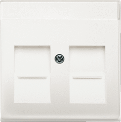 Busch Jaeger 2CKA001710A3887 - inzetplaat 2x modulair jack 1800-884 mat wit future