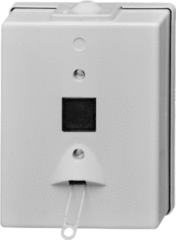 Busch Jaeger 2CKA001315A0449 - trekschakelaar 2616/2 ja 2-polig opbouw