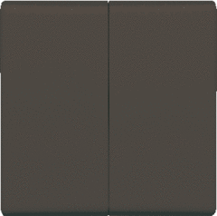 Busch Jaeger 2CKA001731A1676 - wipplaat serie 2105-35 antraciet a44