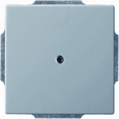 Busch Jaeger 2CKA001710A3751 - inzetplaat blind 1742-866 pure stainless steel