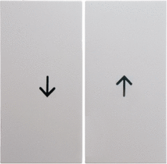 Berker 16251909 - wipplaat + opdruk pijl jaloezie polar wit mat s1