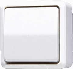 Jung 602AWW - 602 AWW - schakelaar 2-polig alpine wit opbouw