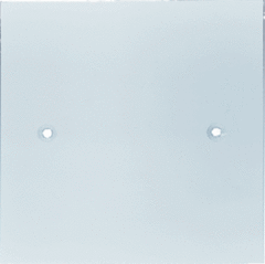 Busch Jaeger 2CKA000239A0087 - eve afdekplaat aansluitzuil