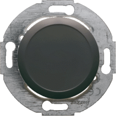 Berker 100921 - blindplaat + centraalplaat zwart 1930gp