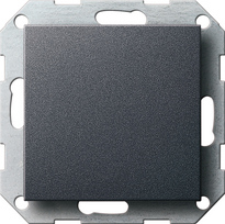 Gira 026828 - inzetplaat blind antraciet 55