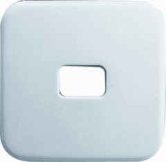 Busch Jaeger 2CKA001731A0413 - wipplaat voor symbolen 2520-212 si creme