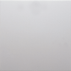 Berker 16201909 - wipplaat polarwit mat s1/b*