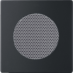 Busch Jaeger 2CKA008200A0126 - afdekplaat voor luidspreker zwart mat 8253-885