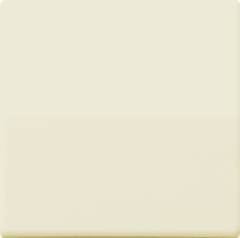 Jung AS591 - wipplaat universeel wissel creme wit