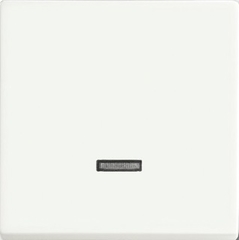 Busch Jaeger 2CKA006599A2963 - dimmerplaat voor tastdimmer 6543-884-101 f