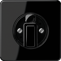 Jung CD1541SW - inzetplaat + knop jaloezie / timer zwart cd500