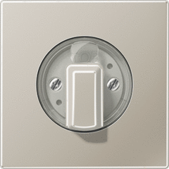 Jung ES1941 - inzetplaat + knop jalozie / timer edelstaal