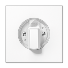 Jung LS1941WW - inzeplaat jaloezie / timer alpine wit ls990