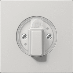 Jung LS1941LG - inzetplaat + knop jaloezie/timer/3-standen licht grijs ls990