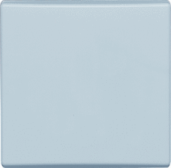 Busch Jaeger 2CKA001731A1593 - wipplaat universeel 2106-34 a44 xd alpin wit