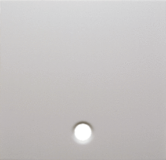 Berker 11468989 - centraalplaat trekschakelaar polar wit s1