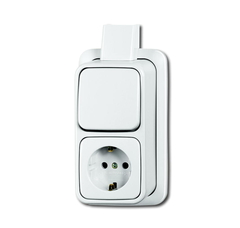 Busch Jaeger 2CKA001641A0236 - combinatie 2601/6/2300 eapjw wissel randaarde