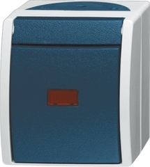 Busch Jaeger 2CKA001085A1618 - schakelaar controle 2601/6skw-53 oc