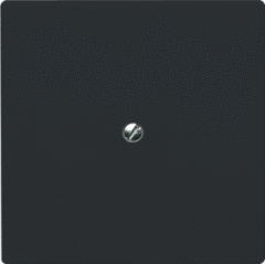 Busch Jaeger 2CKA001710A1928 - blindplaat 2138-35 ant a44