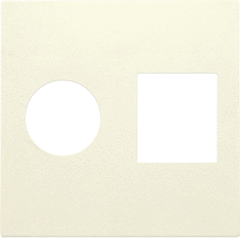 Niko 100-65702 - cpl aansl tv/rj45 100