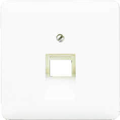 Jung CD569-1UAWW - inzetplaat 1xmj uae alpine wit cd