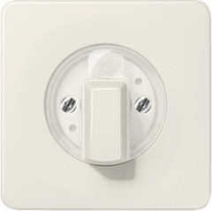 Jung CD1541 - inzetplaat+knop jaloezie/timer jalz/timer creme wit cd