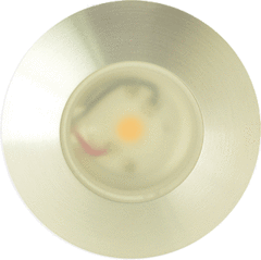 Klemko 863696 - lagos cob 3000k 3,3w