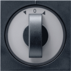 Gira 0666005 - inzetplaat+knop jaloezie + timer 15-120minuten zwart mat