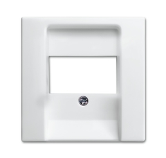 Busch Jaeger 2CKA001724A4333 - inzetplaat uae/usb 2539-914 bsi