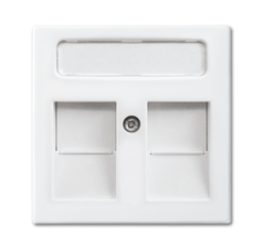 Busch Jaeger 2CKA001753A0229 - data afdekplaat 2-voudig 1800-914