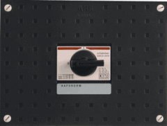 ABB 6962.180 - kast hoofdschakelaar 63-ampere 4-polig hs634