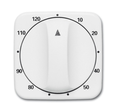 Busch Jaeger 2CKA001753A6315 - inzetplaat + greep 120minuten 1771-214-103