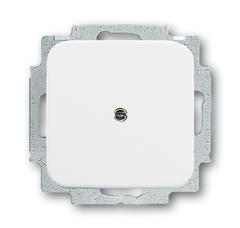 Busch Jaeger 2CKA001715A0275 - inzetplaat blind 2538-214 rsi alpin wit