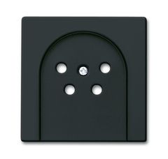 Busch Jaeger 2CKA001724A4302 - ptt afdekplaat mat zwart 2767-885