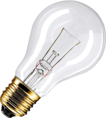 Philips 9017105 - normaal lamp helder 60w e27 12Volt