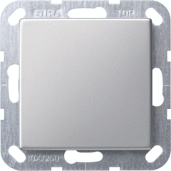 Gira 0268600 - Blinde afd. draagring System 55 edelstaal