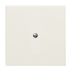 Busch Jaeger 2CKA001710A2264 - blindplaat 2138-32 wit a44 all weather creme