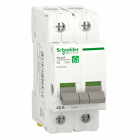 Schneider Electric R9PS240 - Resi9 Hoofdschakelaar 2-polig 40A