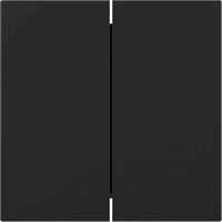 Gira 3495005 - wip 2-v recht system 55 zwart m