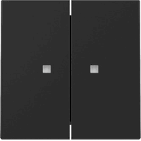 Gira 3631005 - wip 2-v ctrl.v. system 55 zwart m