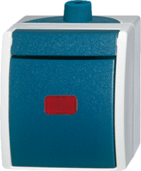 Busch Jaeger 2CKA001085A1619 - schakelaar 2-fase controle 2601/2skw-53 ocean 16Amp