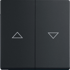 Busch Jaeger 2CKA001751A3036 - inzetplaat jaloezie zwart mat 1785 ja-885