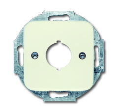 Busch Jaeger 2CKA001724A0228 - inzetplaat 19mm 2534-212 inbouw creme si