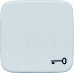 Busch Jaeger 2CKA001731A0298 - wipplaat 2520 tr 212 si symbool deur/sleutel creme